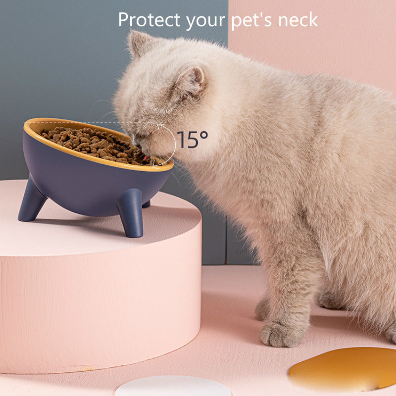 Pet Oasis Feeder Stand for Cats and Dogs - Bits of Joy™
