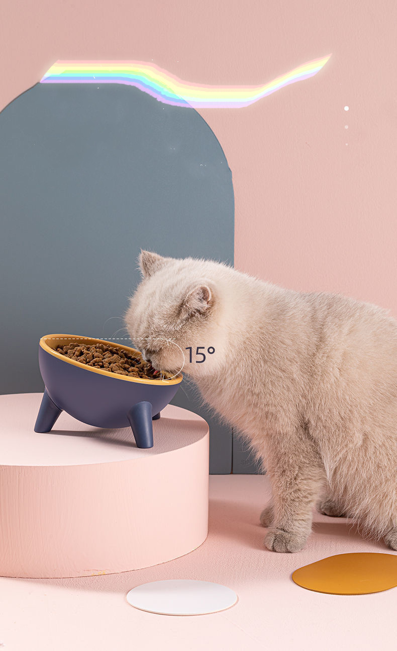 Angled Pet Bowls: Optimal Feeding for Your Pets - Bits of Joy