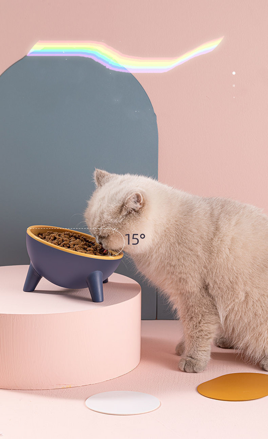 Angled Pet Bowls: Optimal Feeding for Your Pets