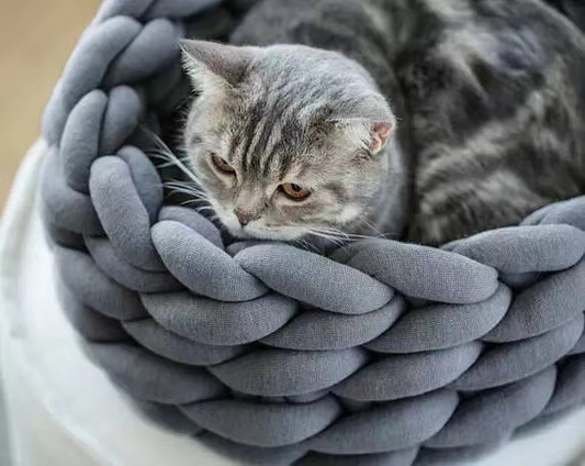 FuzzyPaws Cozy Cat Haven