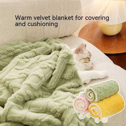 Luxury Velvet Pet Blanket