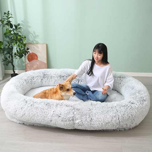 Ultimate Human and Pet Relaxation Bed Set