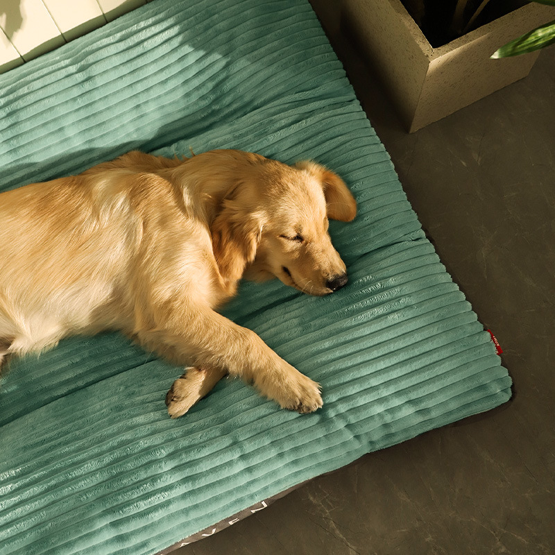 Cozy Heaven Velvet Plus Cotton Pet Bed - Bits of Joy