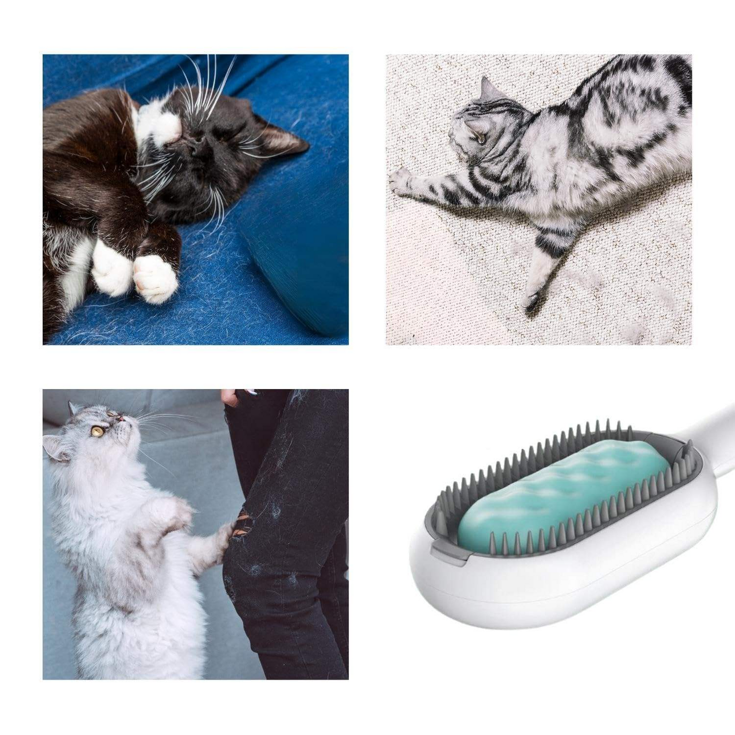 Innovative 3-in-1 Cat Grooming Brush with Water Feature