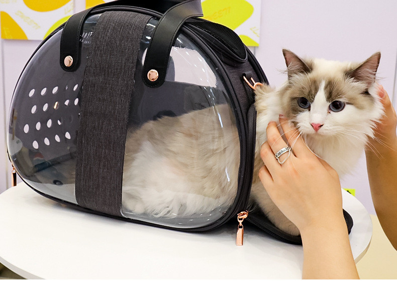 Transparent Pet Backpack Carrier