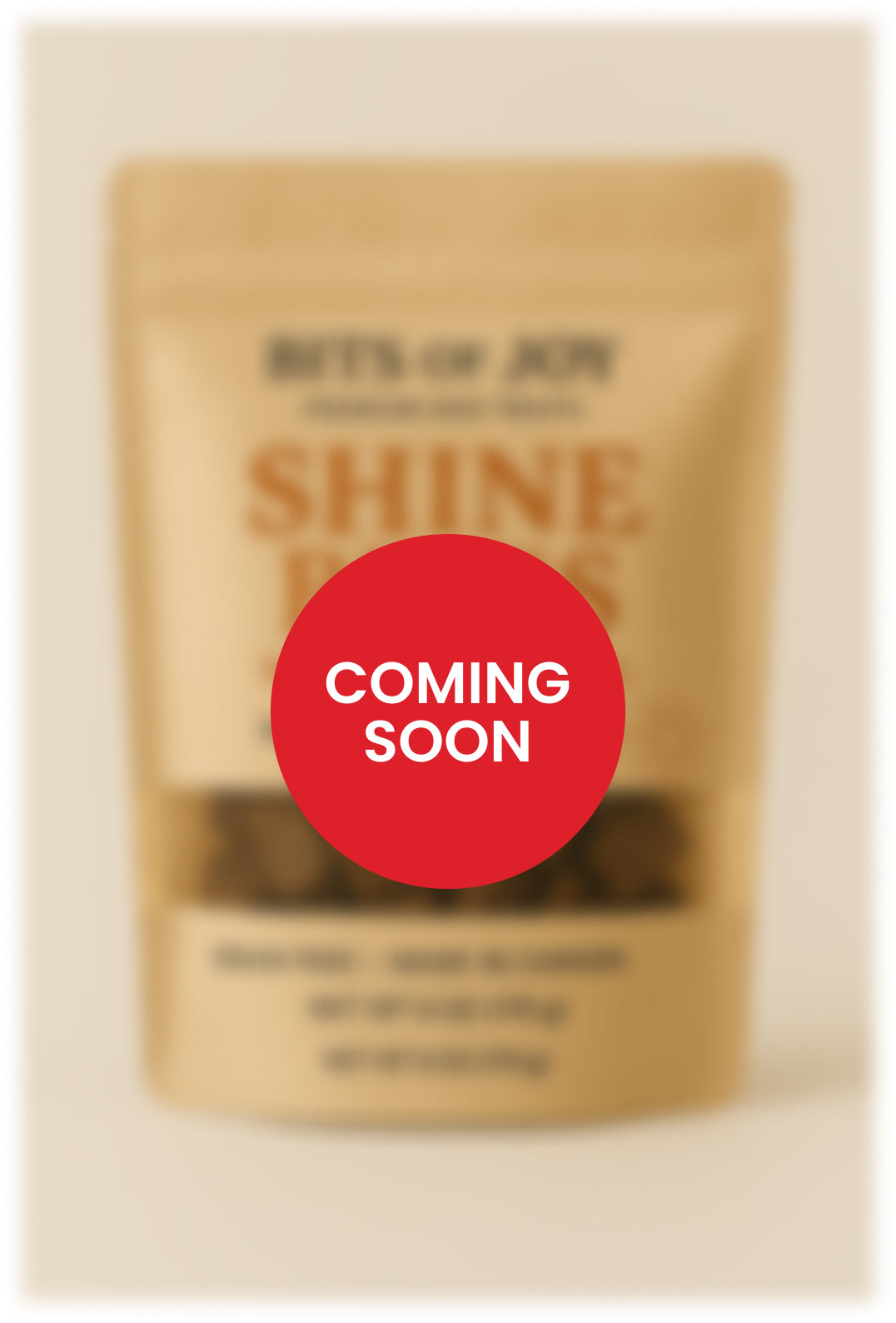 Bits of Joy: Shine Bites with Algae Oil – Bits of Joy™